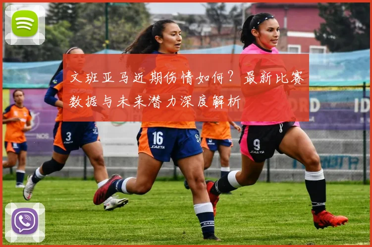 文班亚马近期伤情如何？最新比赛数据与未来潜力深度解析